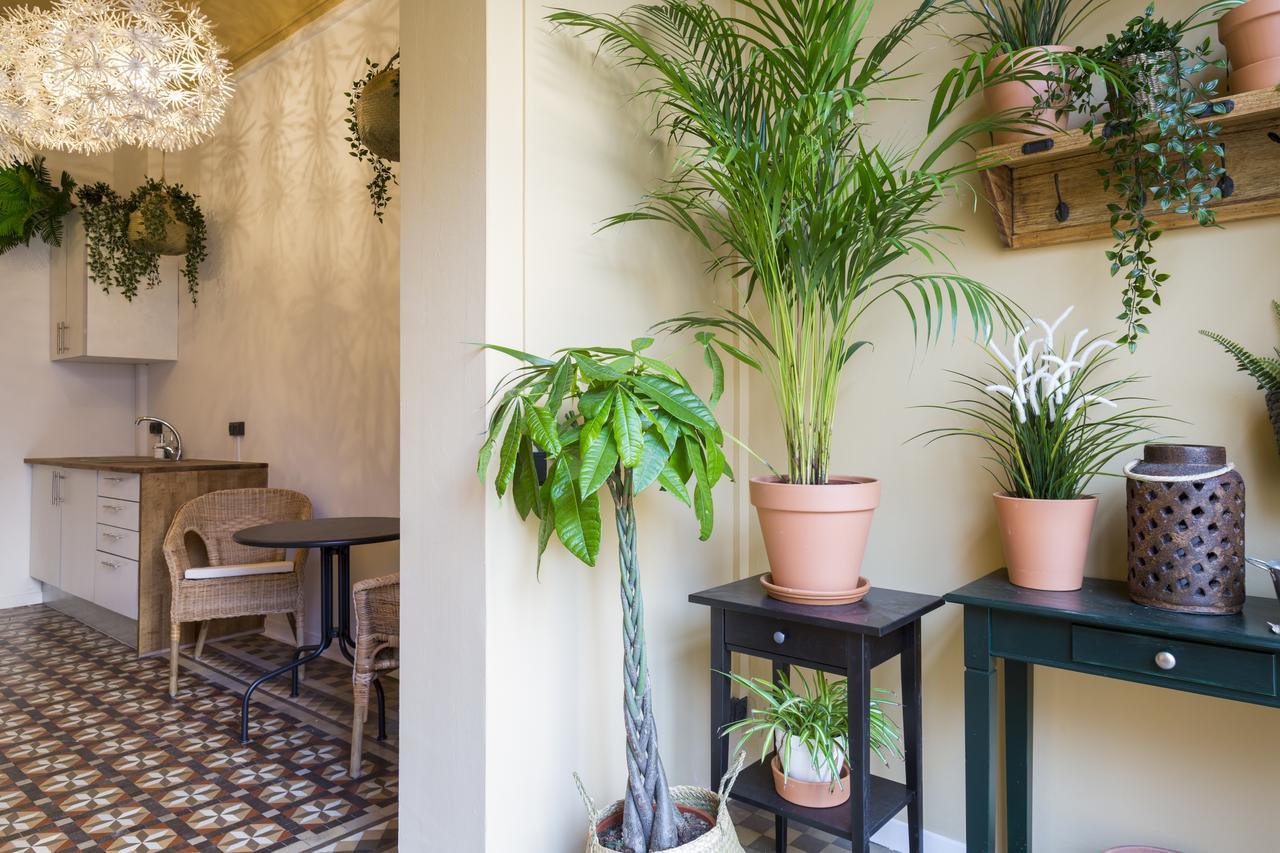מלון Casa Maca Barcelona (Adults Only) מראה חיצוני תמונה